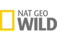 Senderlogo von National Geographic Wild Channel
